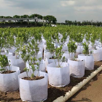 निर्माताओं सीमा पार थोक रोपण और खेती बैग पर्यावरण संरक्षण लगा खेती और रखरखाव